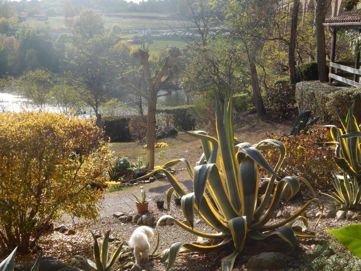 The Petite Chalet Chambre D'Hotes L'Isle-Jourdain  ภายนอก รูปภาพ