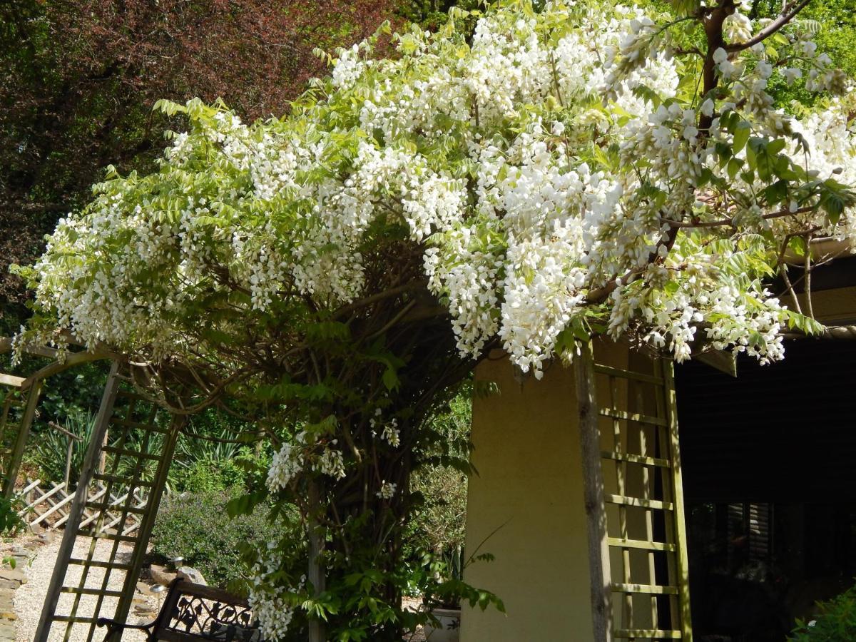 The Petite Chalet Chambre D'Hotes L'Isle-Jourdain  ภายนอก รูปภาพ