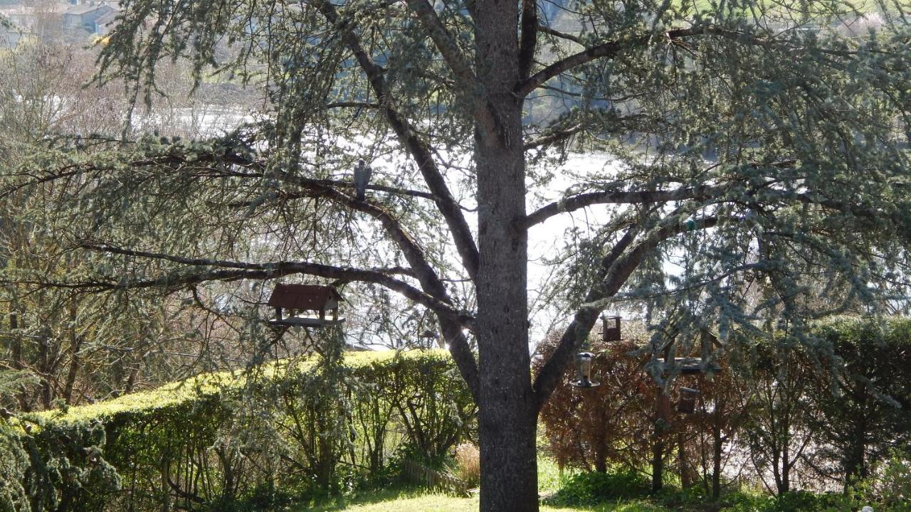 The Petite Chalet Chambre D'Hotes L'Isle-Jourdain  ภายนอก รูปภาพ