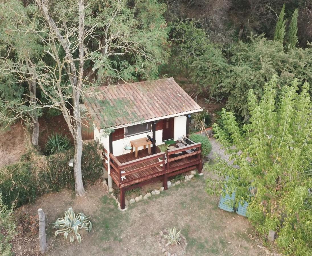 The Petite Chalet Chambre D'Hotes L'Isle-Jourdain  ภายนอก รูปภาพ